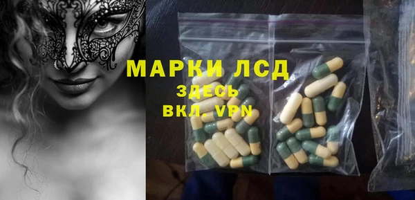 таблы Гусев