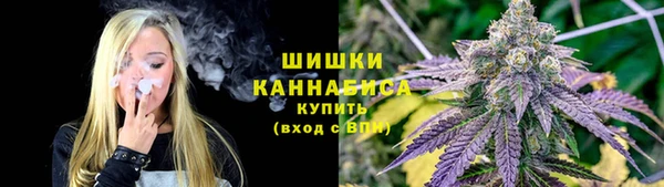 таблы Гусев