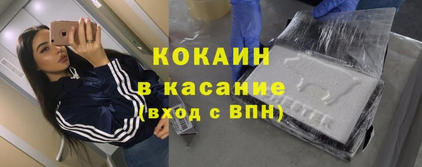 дживик Гусь-Хрустальный