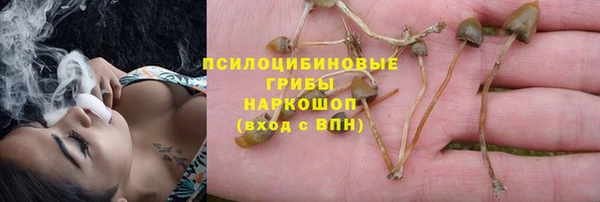 дживик Гусь-Хрустальный