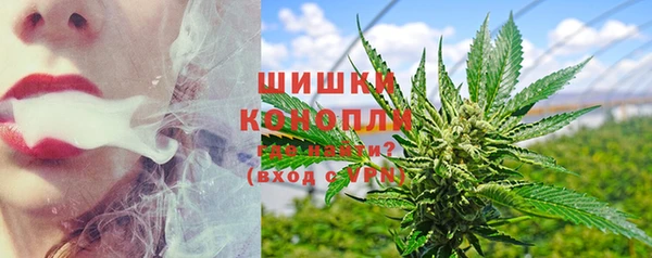 дживик Гусь-Хрустальный