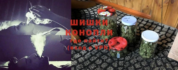 дживик Гусь-Хрустальный