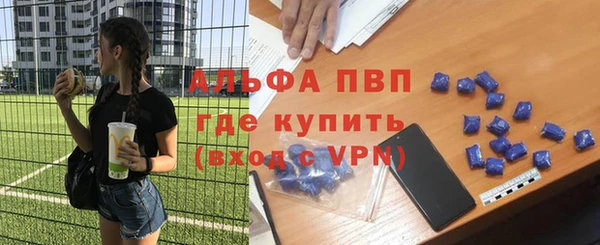 таблы Гусев
