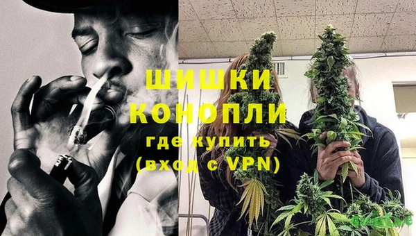 таблы Гусев