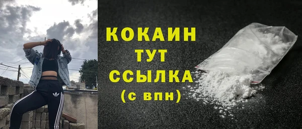 таблы Гусев