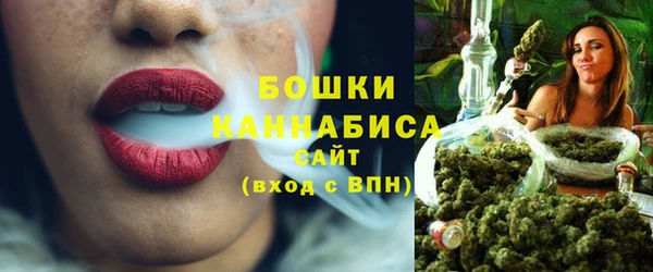 таблы Гусев
